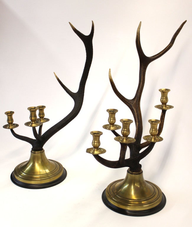 Stag Horn Candelabras Set In Excellent Condition In New York, NY