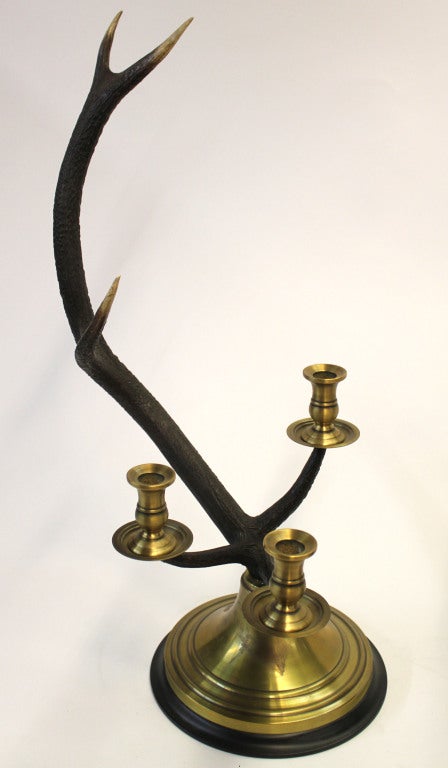 Stag Horn Candelabras Set 1