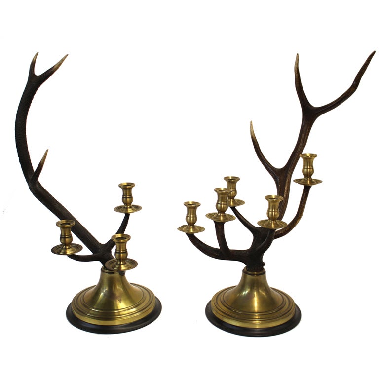 Stag Horn Candelabras Set at 1stdibs