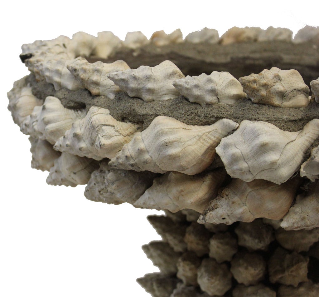 Bird bath detailed in shells throughout.