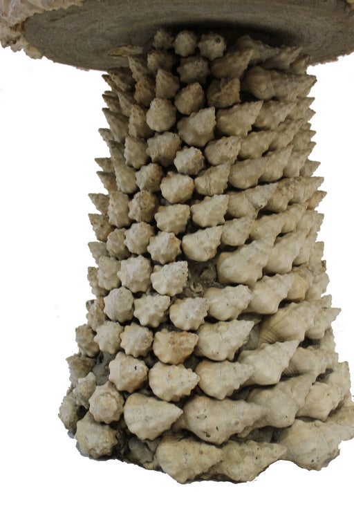 Cement Shell Covered Bird Bath