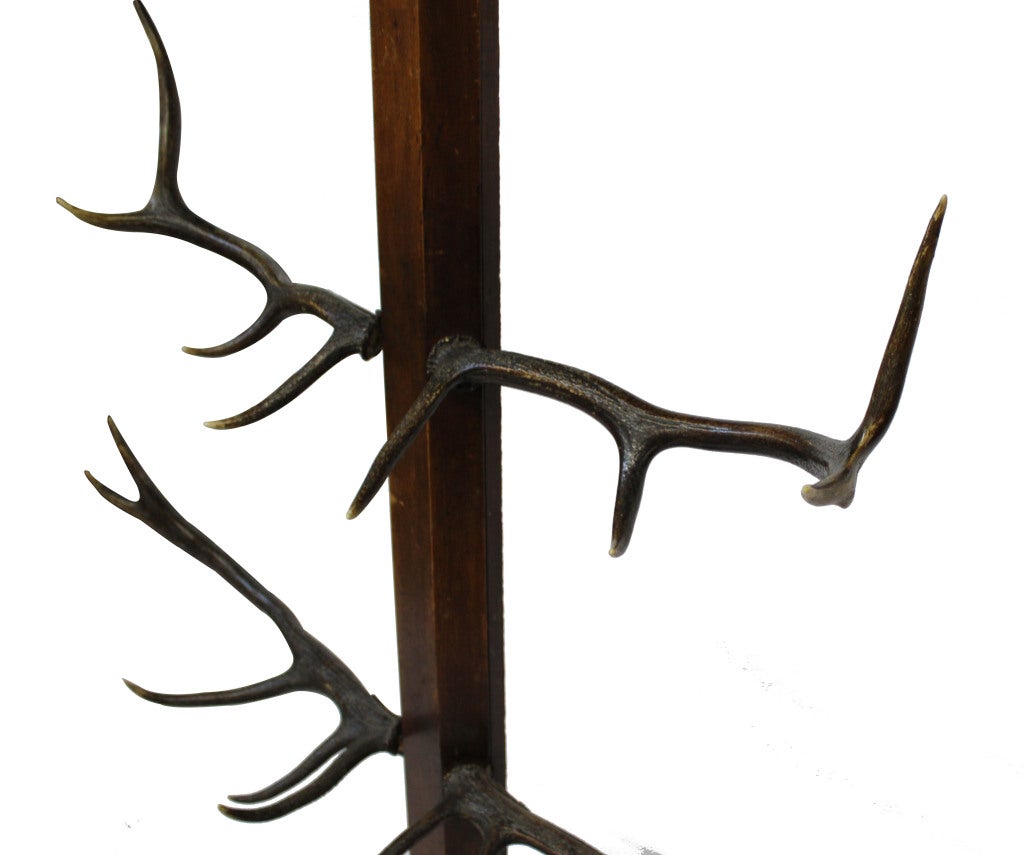 Stag Horn Hall Rack at 1stdibs