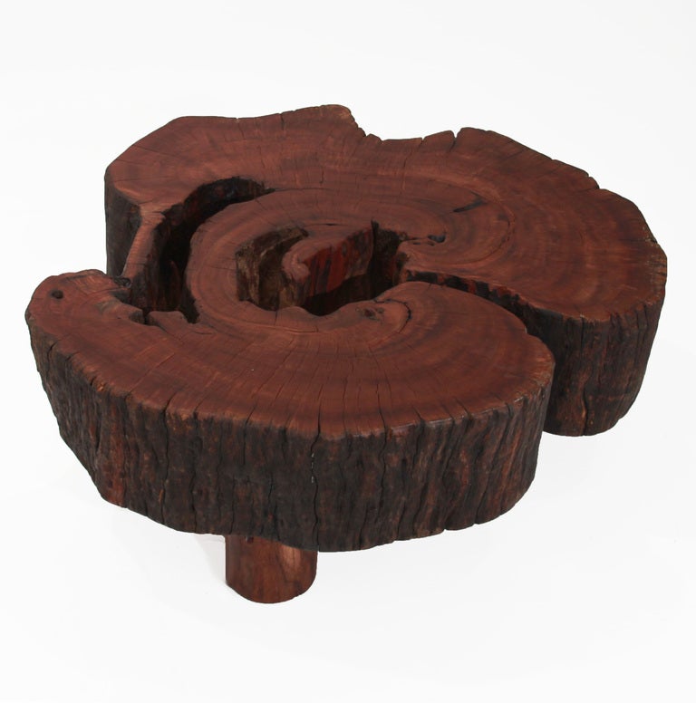 A one-of-a-kind coffee table by Tunico T. It is an organically shaped solid round of Angico Vermelho with three legs and with naturally occurring cut-outs. Tunico T. lives in Brasilia with his wife and two of his children. He finds his raw materials
