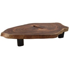 Oblong Double Tamboril Tree Root Section Coffee Table By Tunico T.