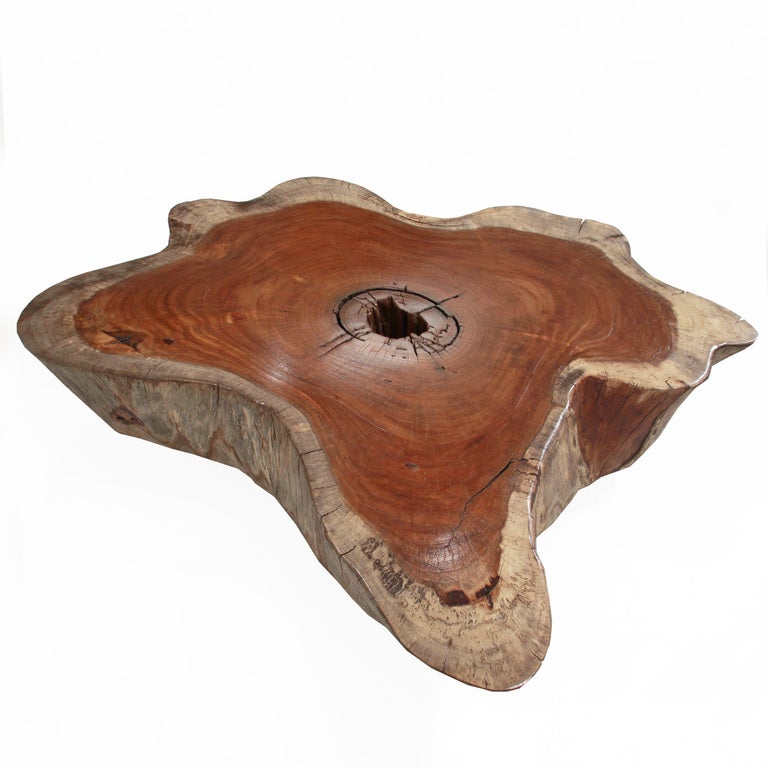 Massive organic shaped Jatoba coffee table on three legs by Tunico T. Tunico T. lives in Brasilia with his wife and two of his children. He finds his raw materials in the surrounding “Cerrado,” the largest savannah region in South America. For over