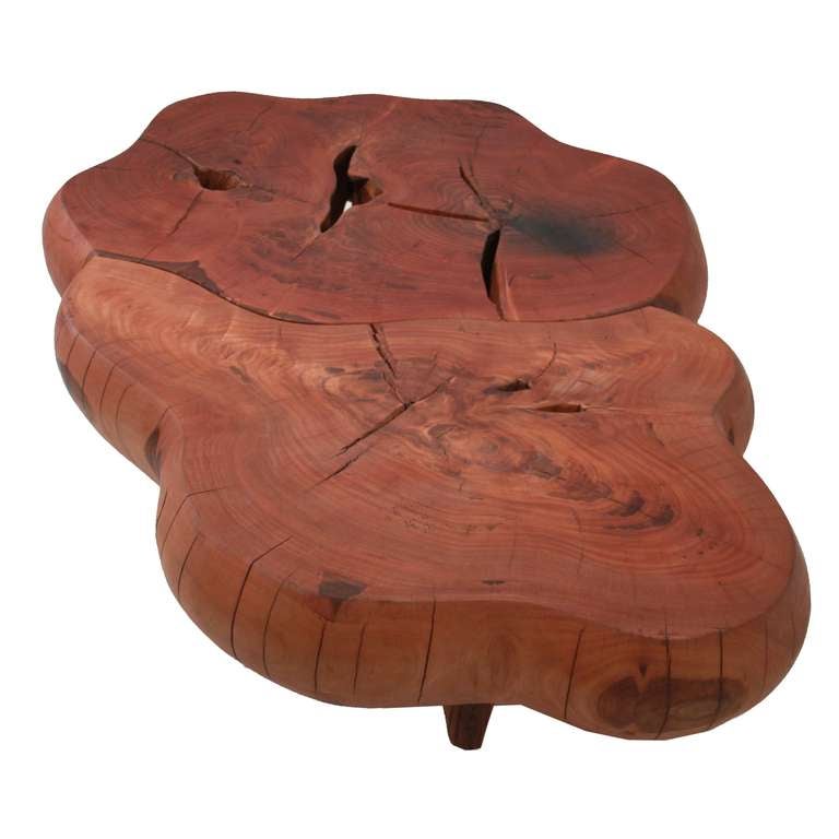 Double Eucalipto Vermelho coffee table on three legs by Tunico T. Tunico T. lives in Brasilia with his wife and two of his children. He finds his raw materials in the surrounding â??Cerrado,â?? the largest savannah region in South America. For over