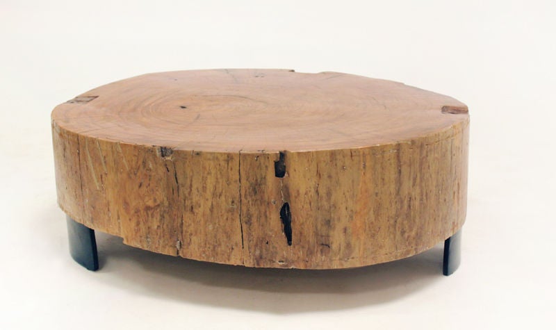 This portion of a Peroba tree trunk has been cut and smoothed with a natural wax finish to show the natural beauty of the grain. The wood shows age and a rich color.

 