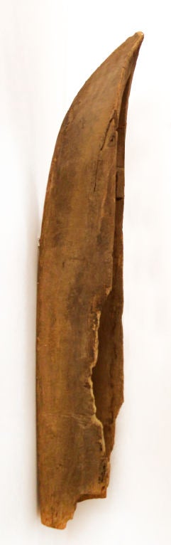 Brazilian Tip of a Small Ipe Canoe from Bahia, Brazil