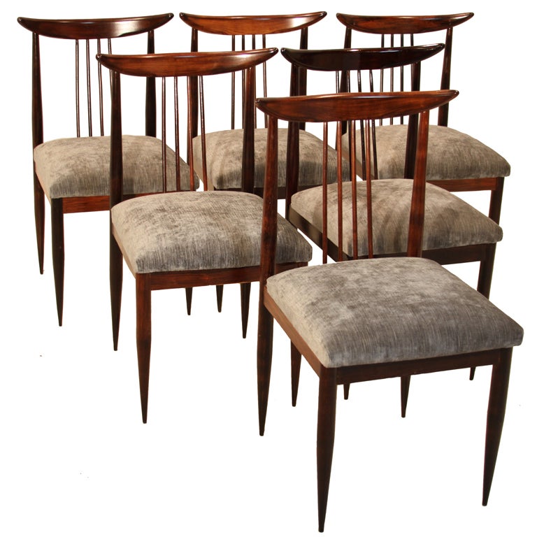Set of Six Rosewood Dining Chairs by Giuseppi Scapinelli