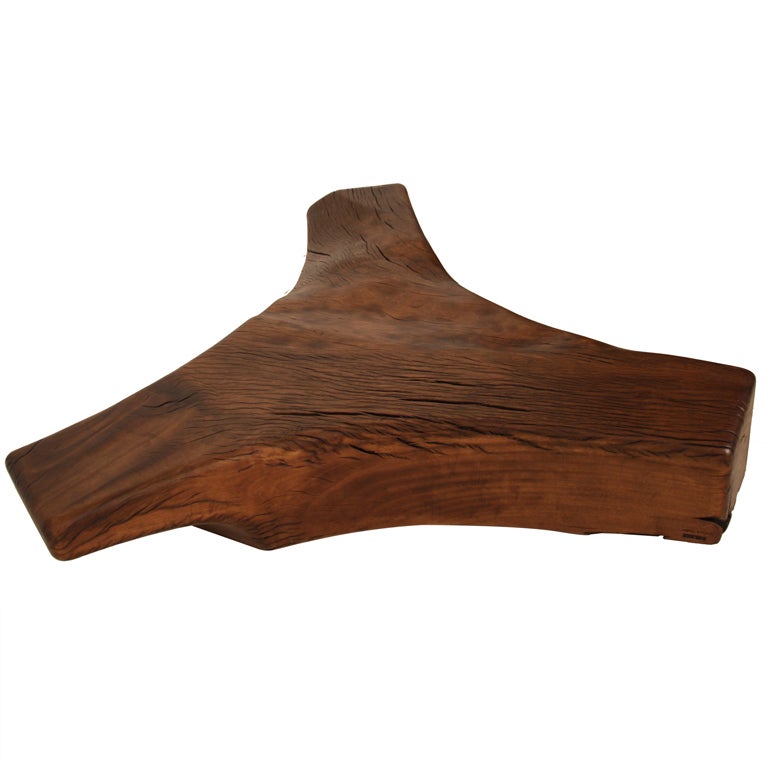 Huge Pequi root coffee table by Zanini De Zanine