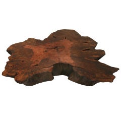 Abacateiro wood coffee table by Tunico T.