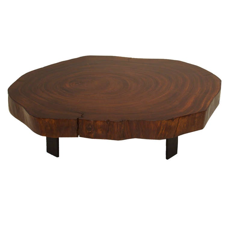 A custom rustic tree round coffee table with live edges in solid Caro Caro wood with three angled flat black finished metal legs by Thomas Hayes Studio. The top has been stained and treated with a lacquer finish, then waxed and steel wooled for