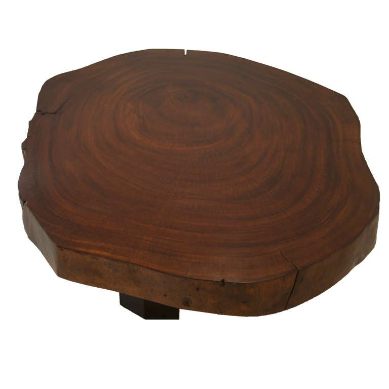 Custom Caro Caro wood tree round coffee table by Thomas Hayes Studio In Distressed Condition In Hollywood, CA