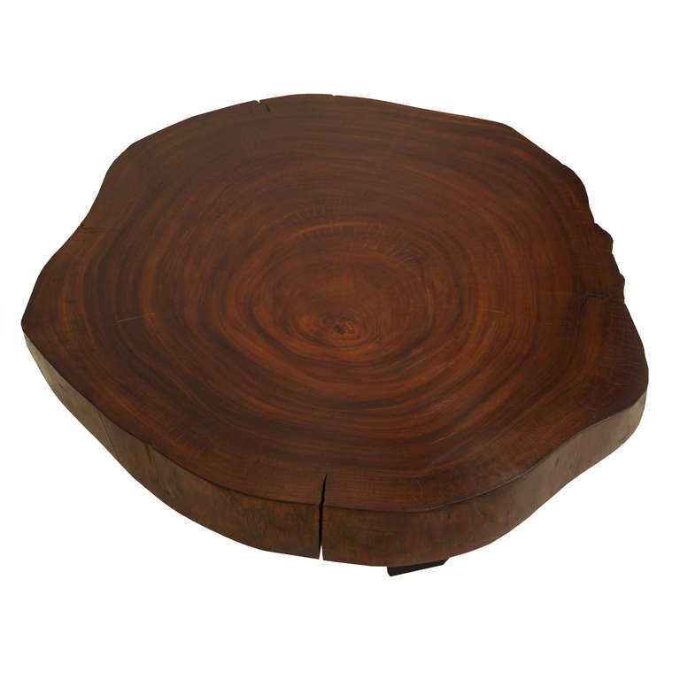 Contemporary Custom Caro Caro wood tree round coffee table by Thomas Hayes Studio