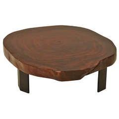 Caro Caro wood tree round coffee table by Thomas Hayes Studio