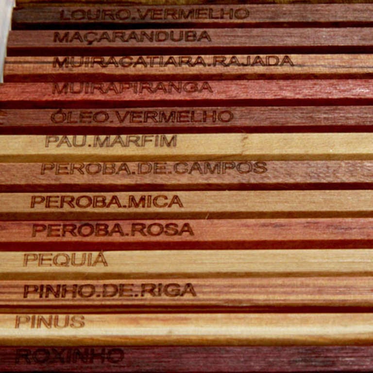 Contemporary Brazilian Wood Samples 