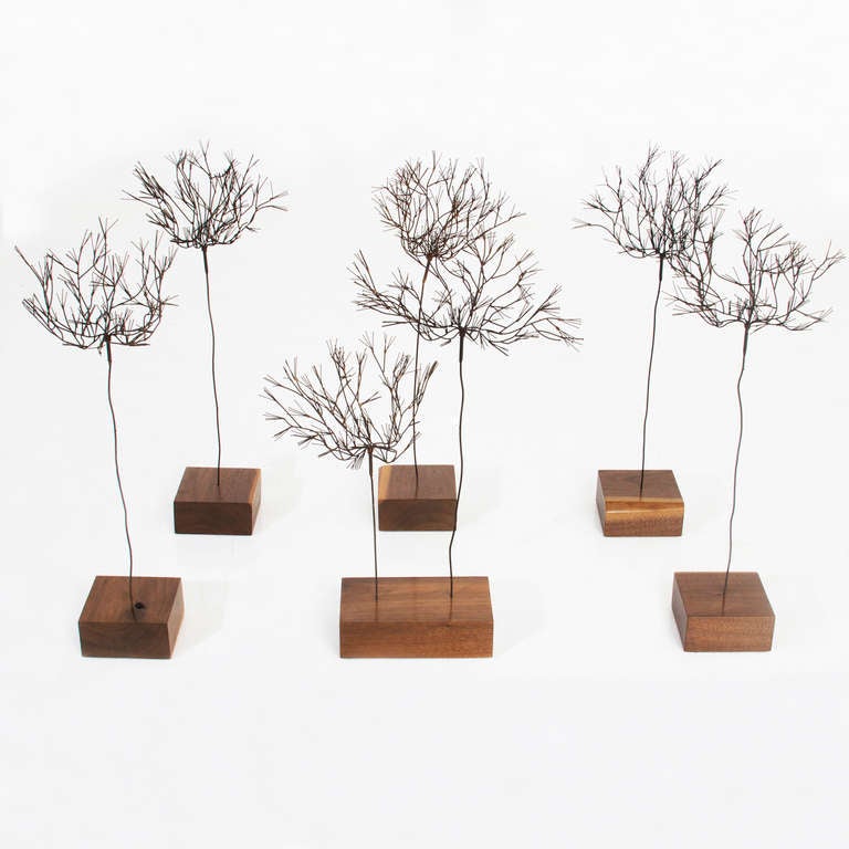 A collection of black iron metal tree sculptures on solid Walnut bases. These vintage trees were originally placed in an indoor terrarium. Ten trees total available, some as singles and some as doubles. 

$1200 for singles
$1800 for