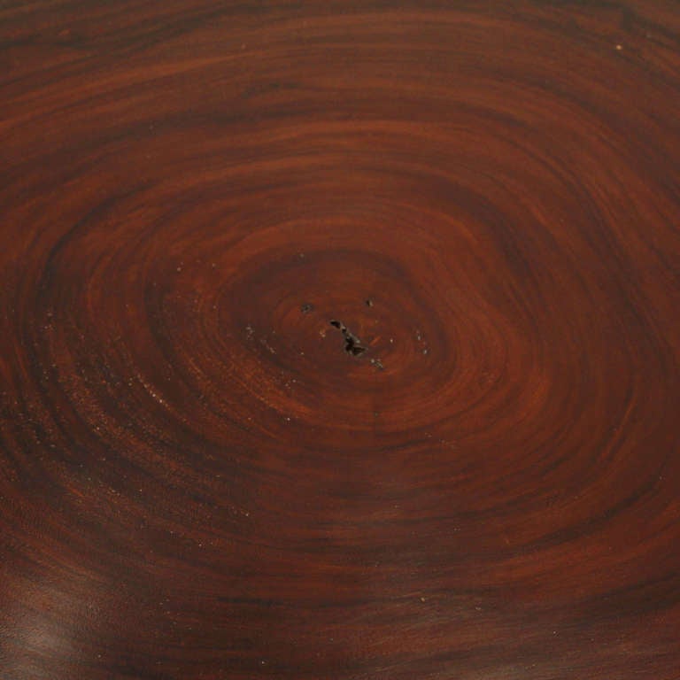 Caro Caro wood tree round coffee table by Thomas Hayes Studio 1