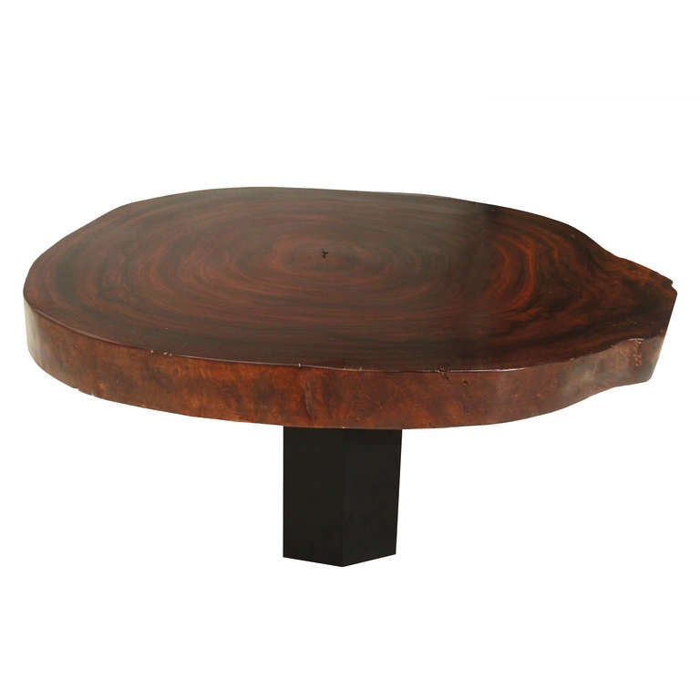 American Caro Caro wood tree round coffee table by Thomas Hayes Studio