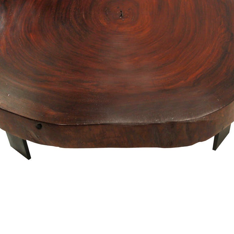 Contemporary Caro Caro wood tree round coffee table by Thomas Hayes Studio