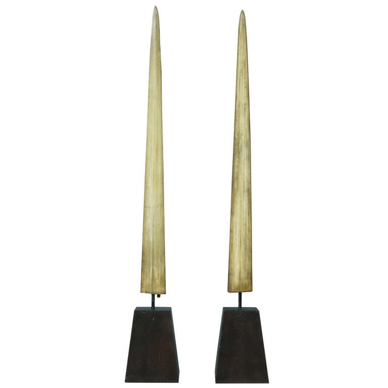 Pair of Mounted Swordfish Bills at 1stdibs