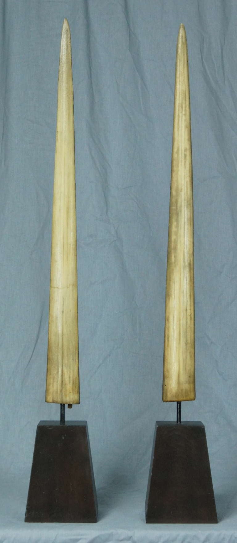 A pair of well proportioned swordfish bills on pyramidal shaped ebonized bases.