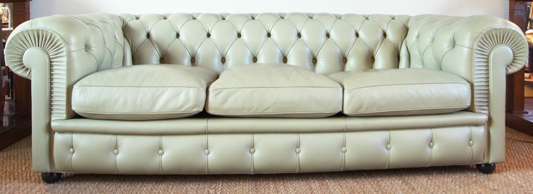 A low-slung 3-seat Chesterfield sofa in supple green leather on ebonized wooden bun feet by Poltrona Frau.
