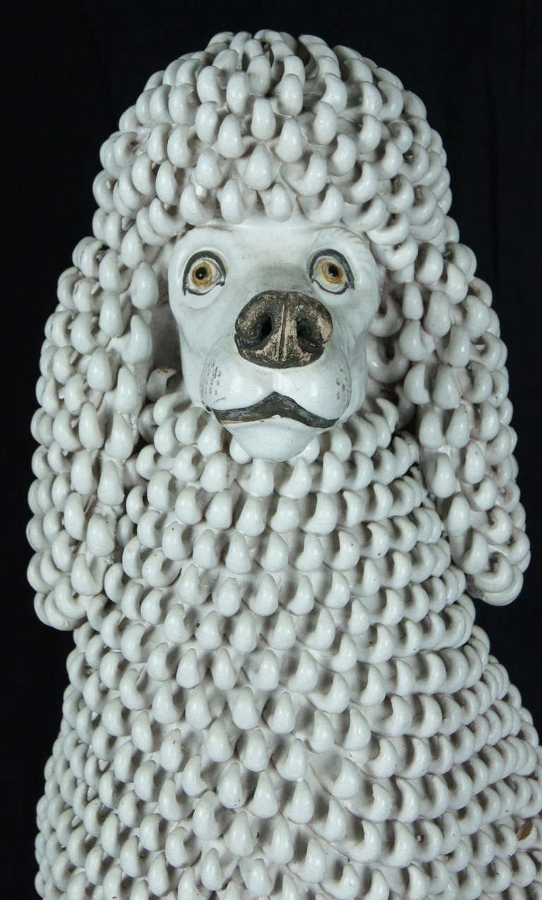 Grand caniche italien en céramique 2