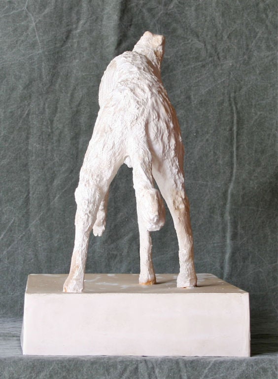 Plaster Sculpture of a Borzoi 3