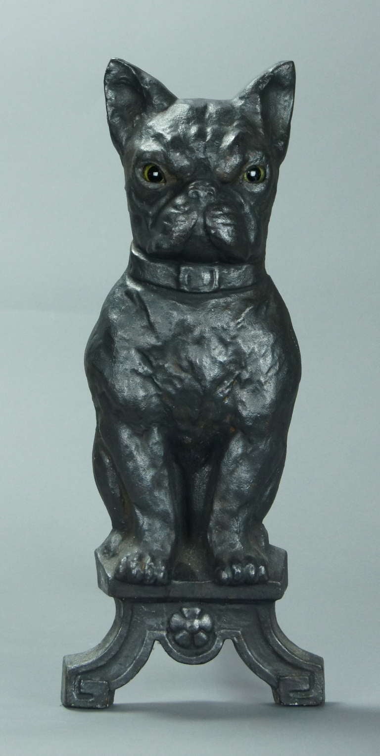 A delightful pair of cast iron andirons in the form of Boston Terriers or French Bulldogs with inset glass eyes dating from the first half of the 20th century. The glass eyes are open in the back allowing the eyes to glow from the light of a fire.