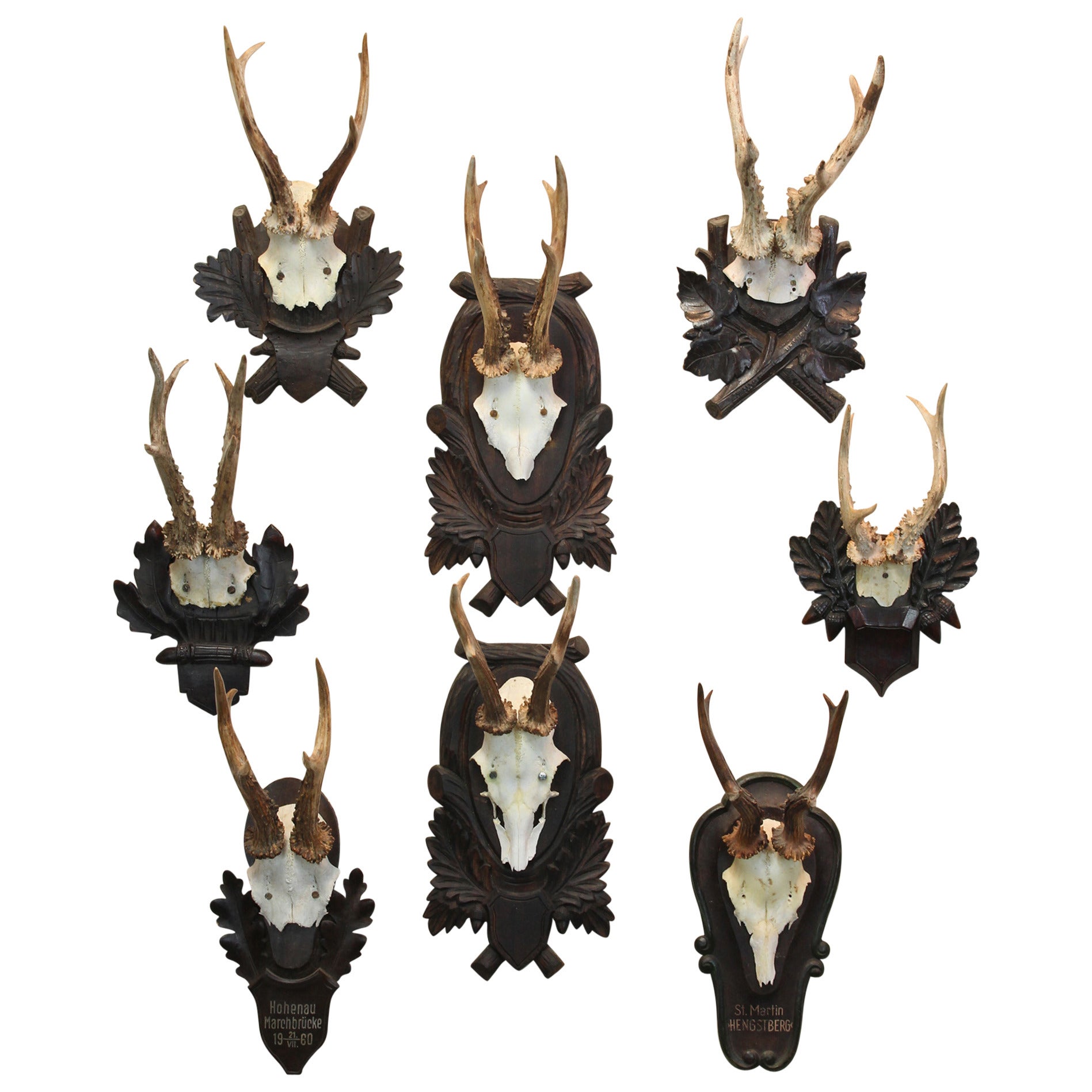 Collection of Eight Antique German Black Forest Antler Trophies