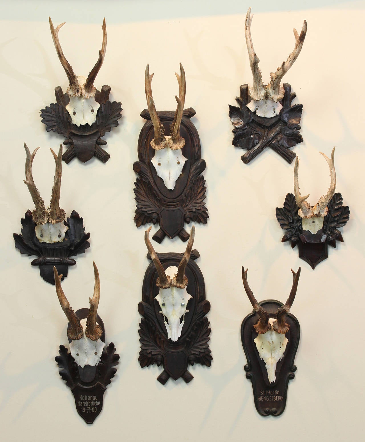 A large and unusual collection of German Roebuck antler trophies with elaborately carved Black Forest mounts. Many of the pieces have names and dates spanning 60 years.