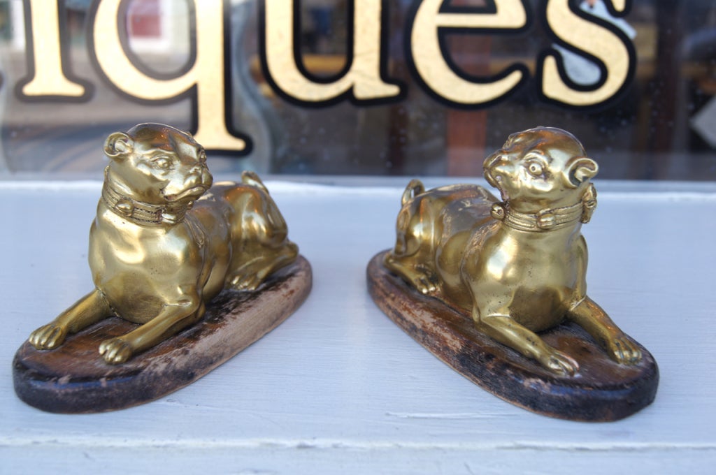 A beautifully rendered pair of cast bronze Pug dogs. The male and female opposing recumbent dogs wearing collars with bows and bells. Sitting on old wood bases.