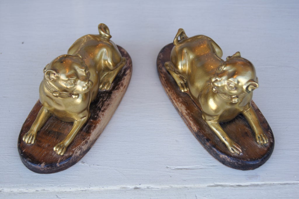 19th Century A Pair of Gilt Bronze Pugs