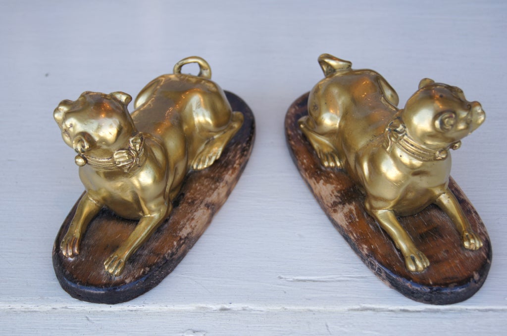 Ormolu A Pair of Gilt Bronze Pugs