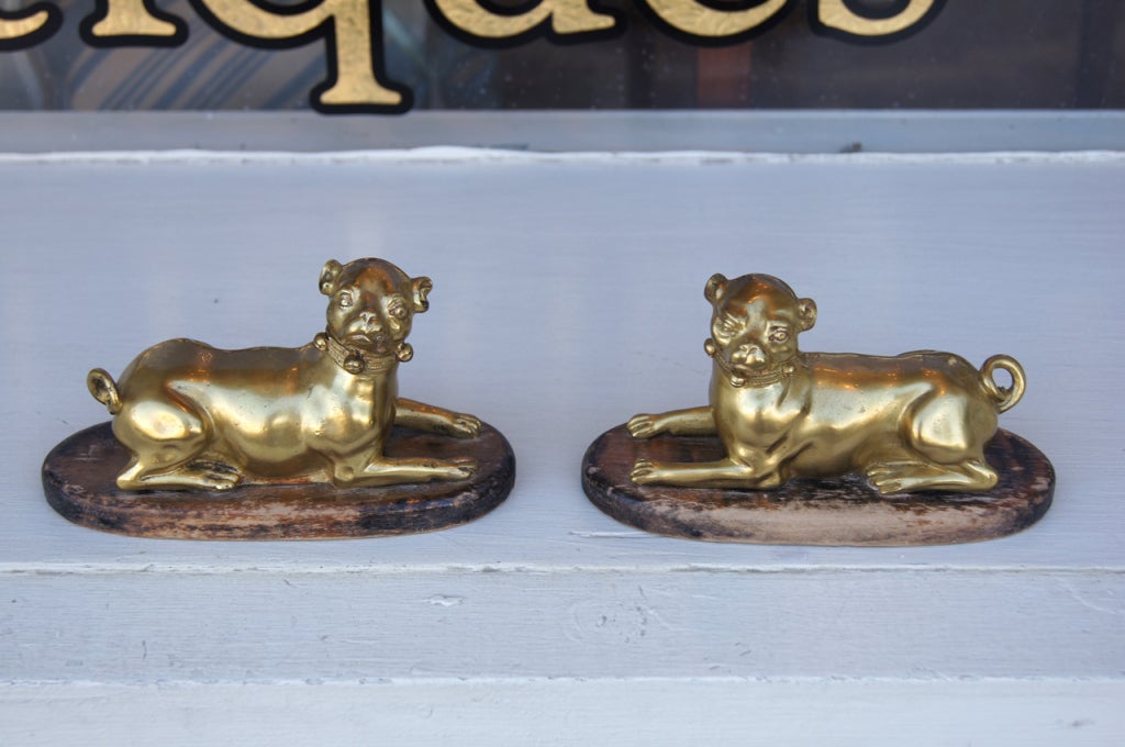 A Pair of Gilt Bronze Pugs 3