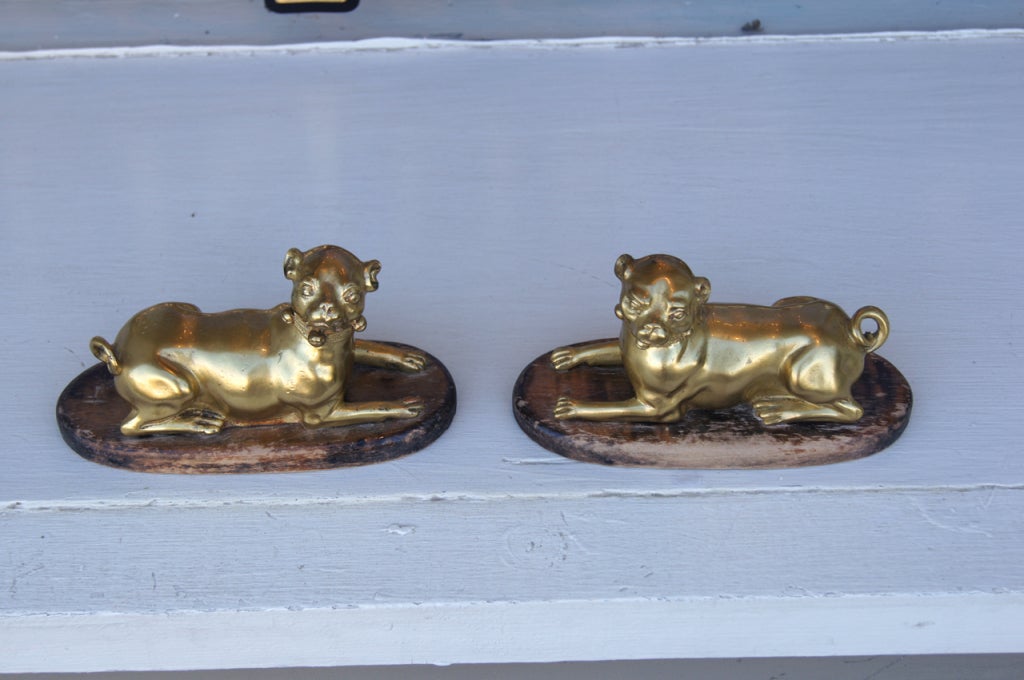 A Pair of Gilt Bronze Pugs 4