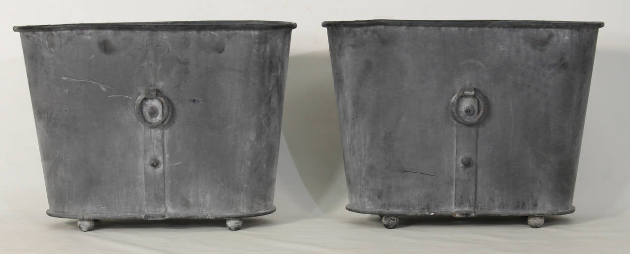 Late 20th Century Pair of Large French Zinc Oval Planters