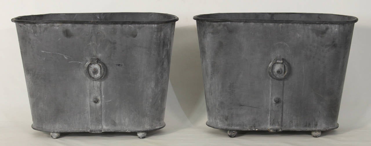 An unusual pair of French zinc oval shaped planter boxes accented with straps and rings on both sides and resting on bun feet.