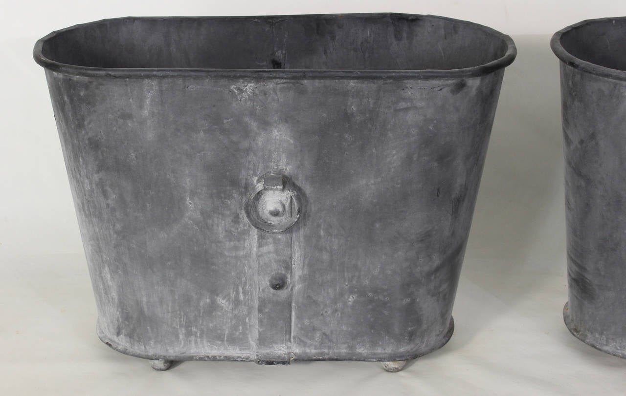 Pair of Large French Zinc Oval Planters 1