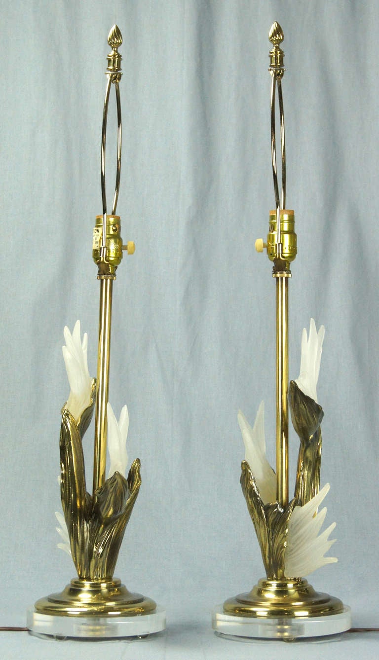 American Pair of Brass and Lucite Bird of Paradise Table Lamps by Stiffel