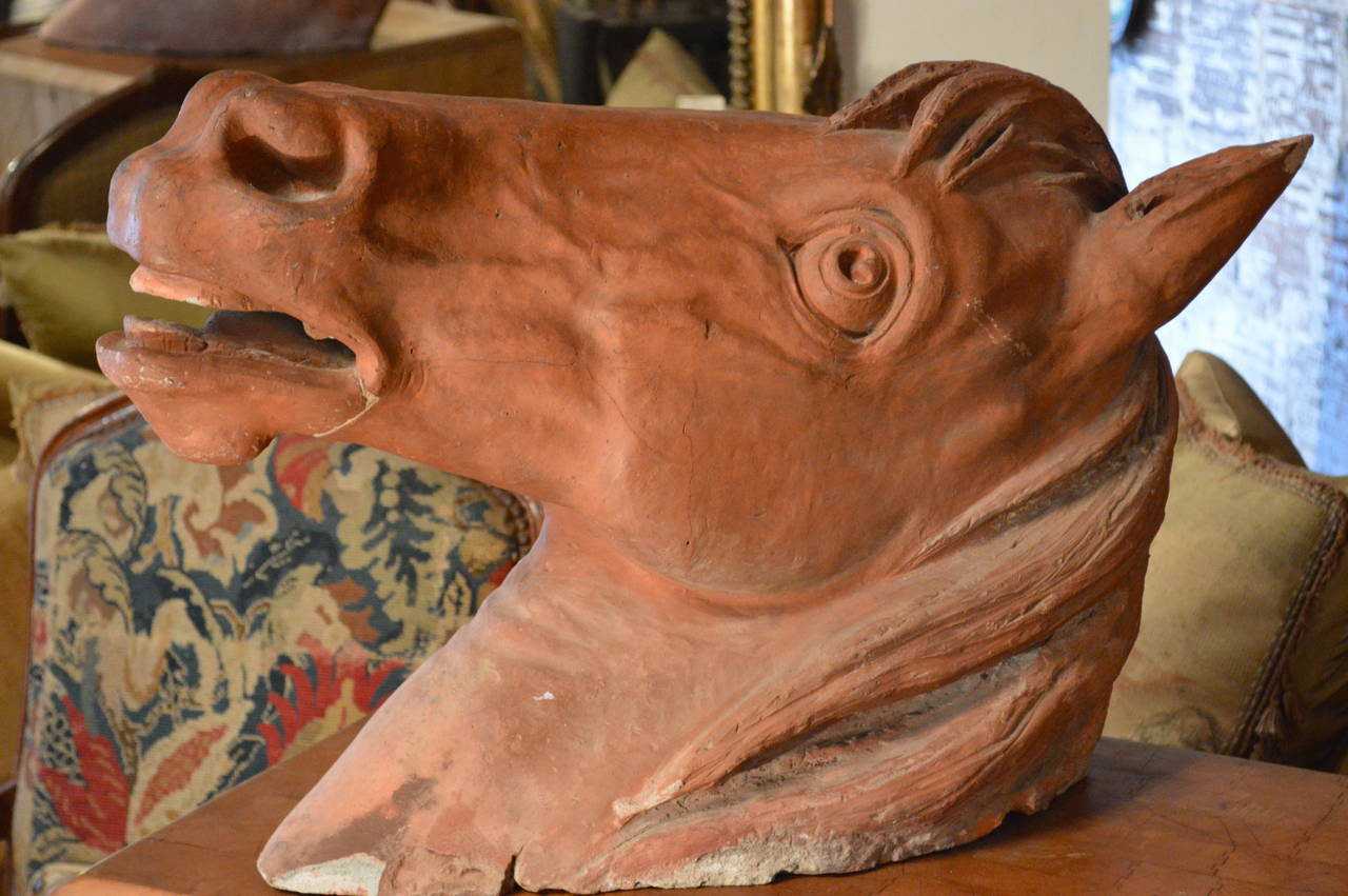 A finely sculpted French 19th century hanging horse bust, close to lifesize.