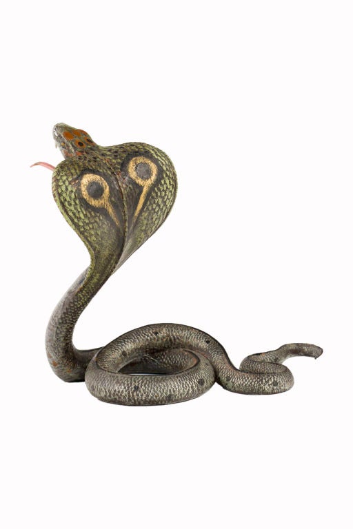 An Austrian cold-painted bronze of a cobra snake coiled with its head fanned out and tongue extended. The tongue is long enough to intercept a pocket-watch as photographed. The bronze is signed with the Bergman Foundry Mark and further signed,