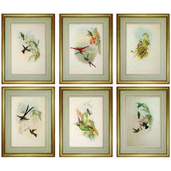 Set of Six John Gould Hummingbirds