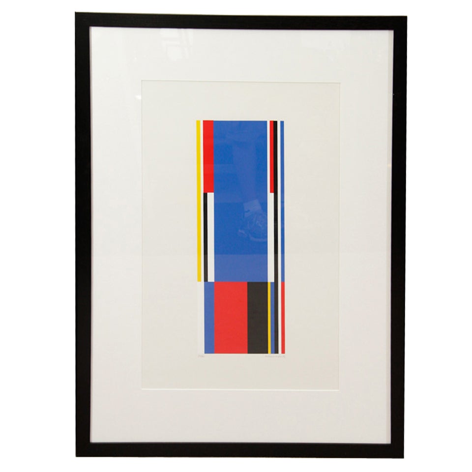 Single Red, Blue, Black and Yellow Silkscreen Print by Jo Niemeyer