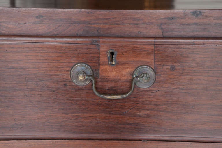 19th Century Anglo-Indian Rosewood Campaign Chest of Drawers