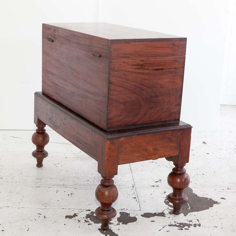 Anglo-Indian Mahogany Trunk on a Stand For Sale 1