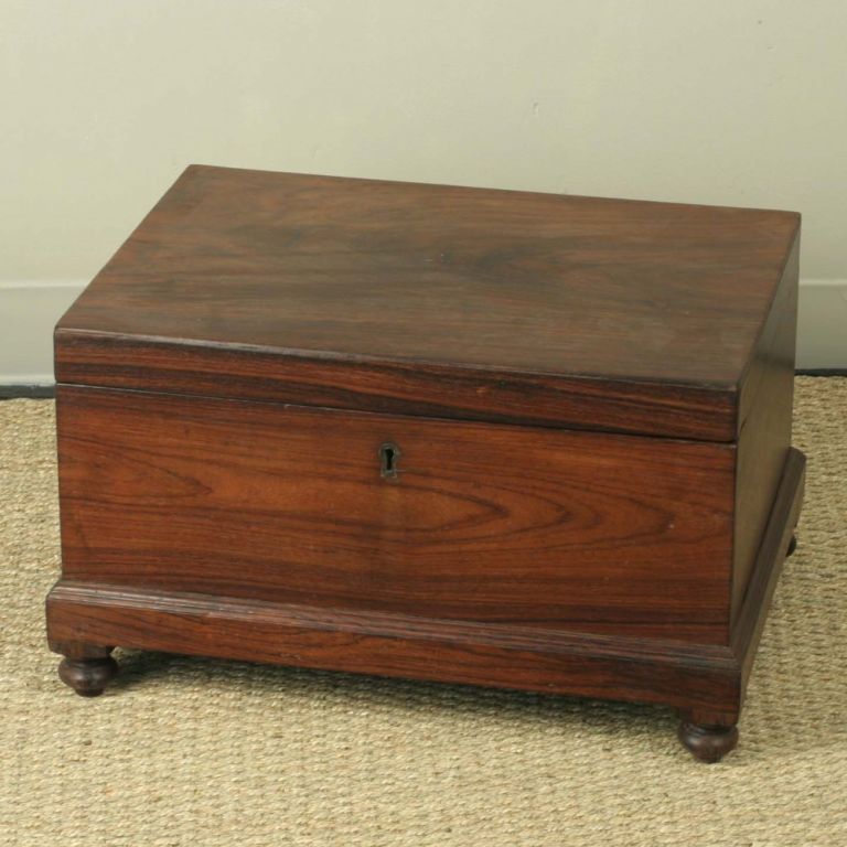 Anglo-Indian Large Rosewood Cashbox on Feet