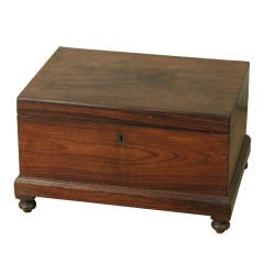 Anglo-Indian Large Rosewood Cashbox on Feet