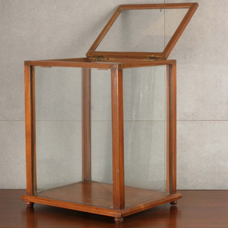 Glass Display Case with Teak Frame